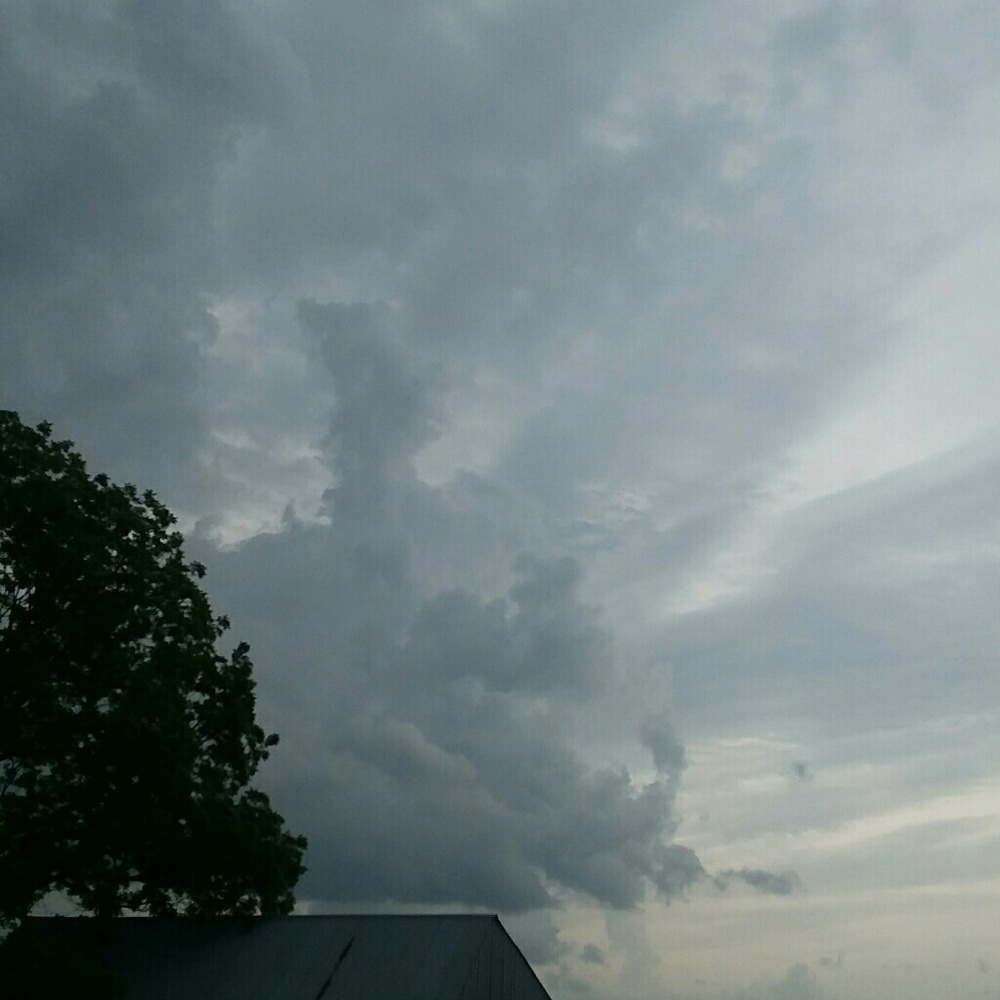 My activity will be on hold until further notice.